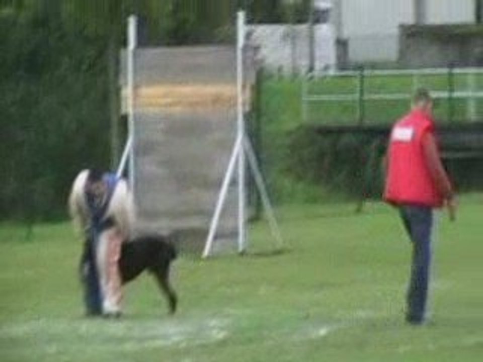 St Julien 2eme Partie