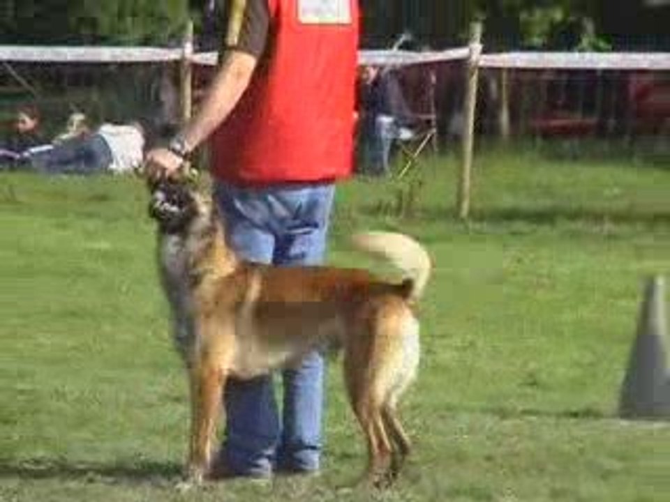 Baron de Vulcain en 3