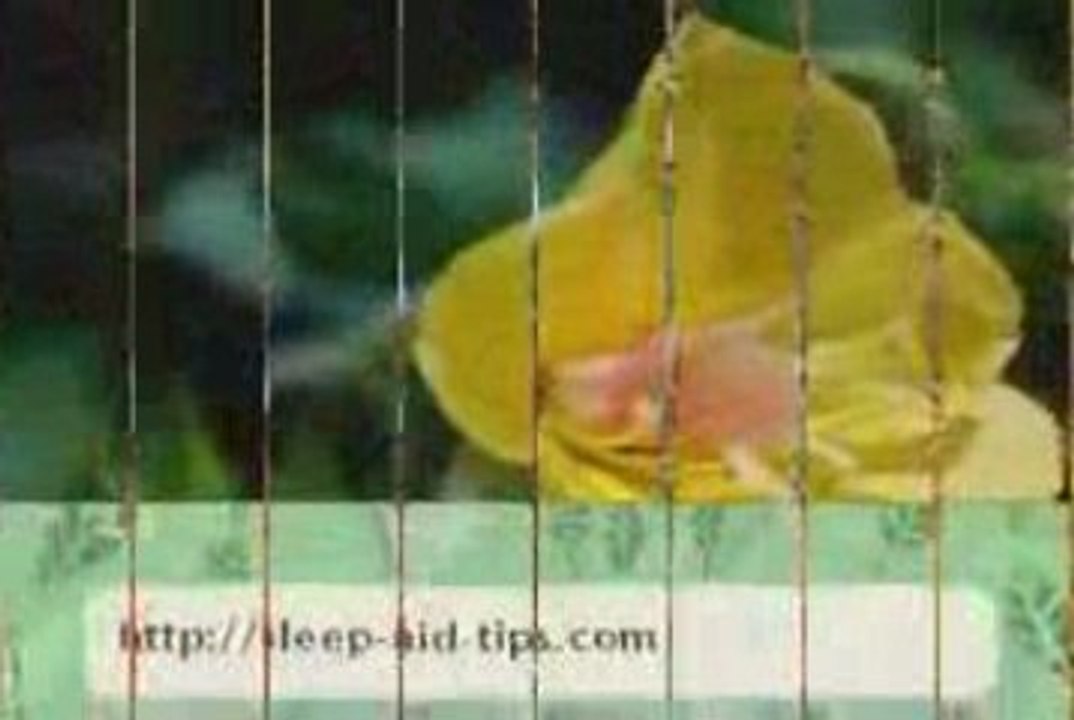 Natural Sleep Aid Tips