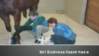 Veterinary Practice Marketing