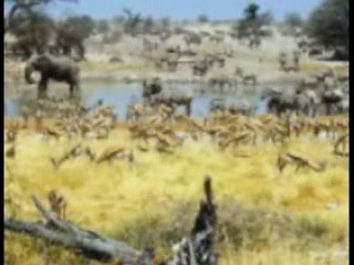 Maravillas del Desierto de Namib 🏜️