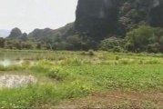 Riziere a Vang vieng