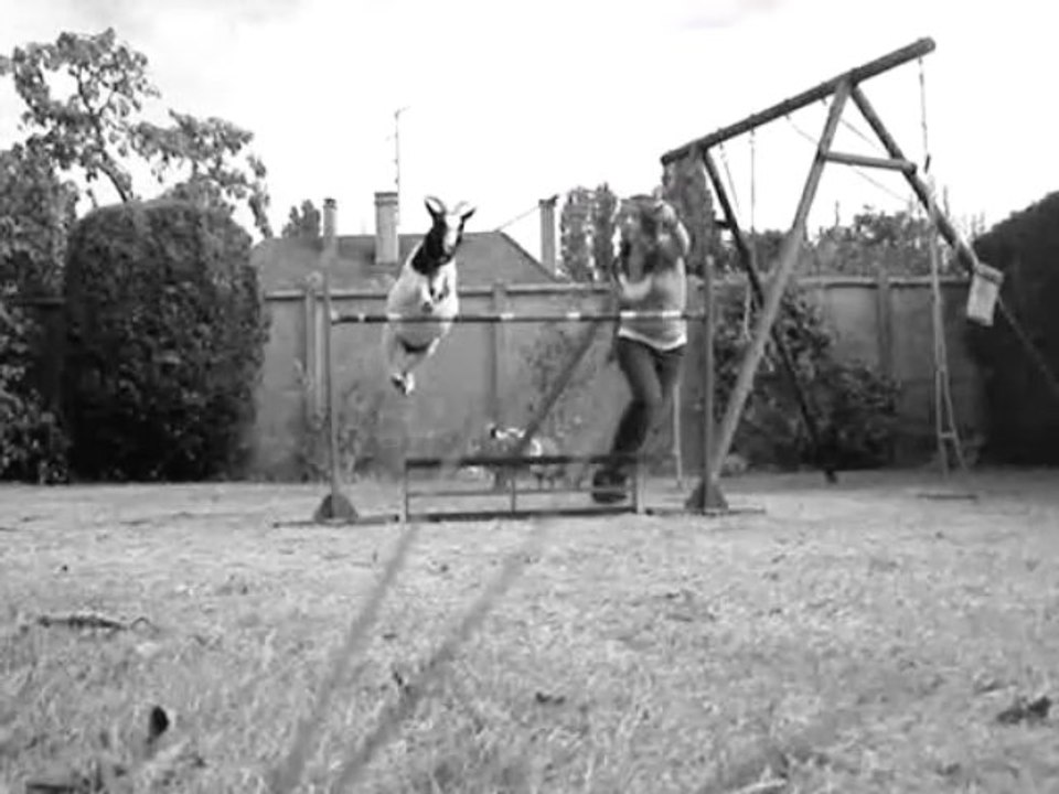 seance de saut avec fleur