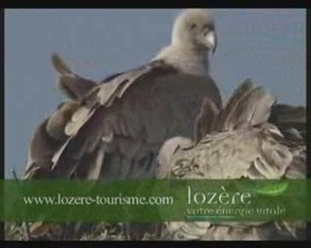Gorges du Tarn ,de la Jonte, Vallée du Lot, grands causses