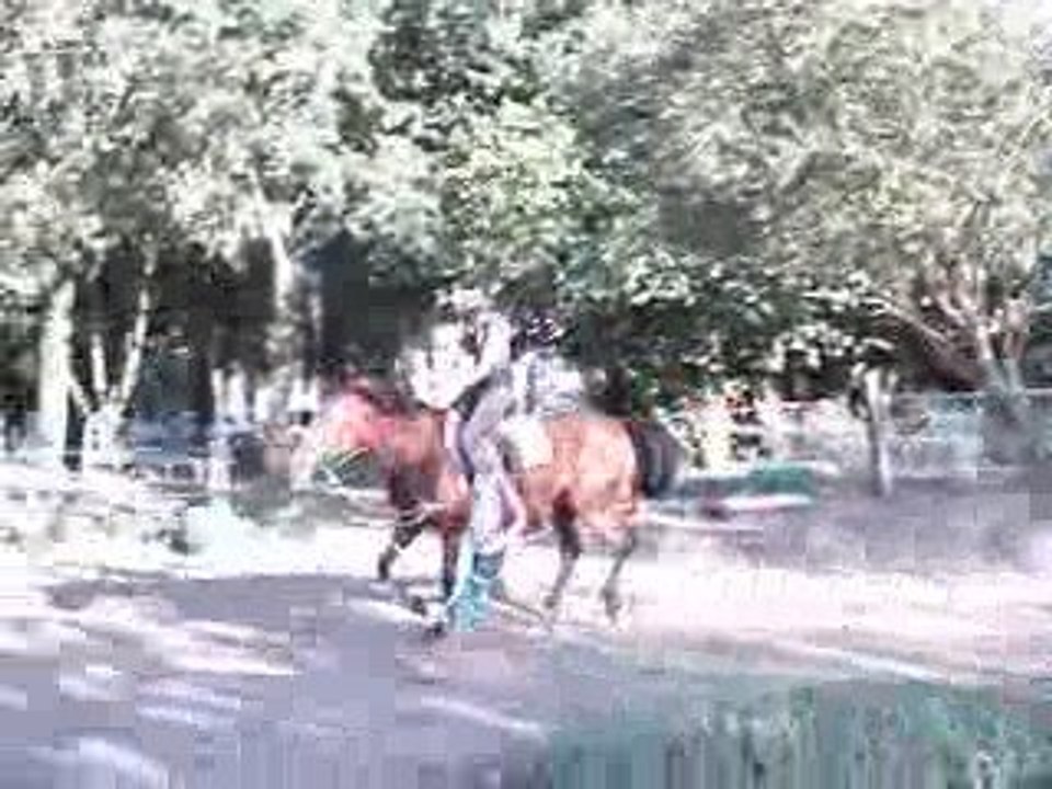 Saut de Rhéa