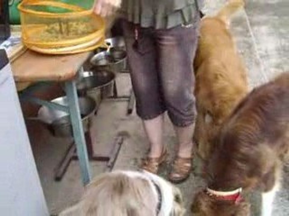 suprise de natou pour crumble