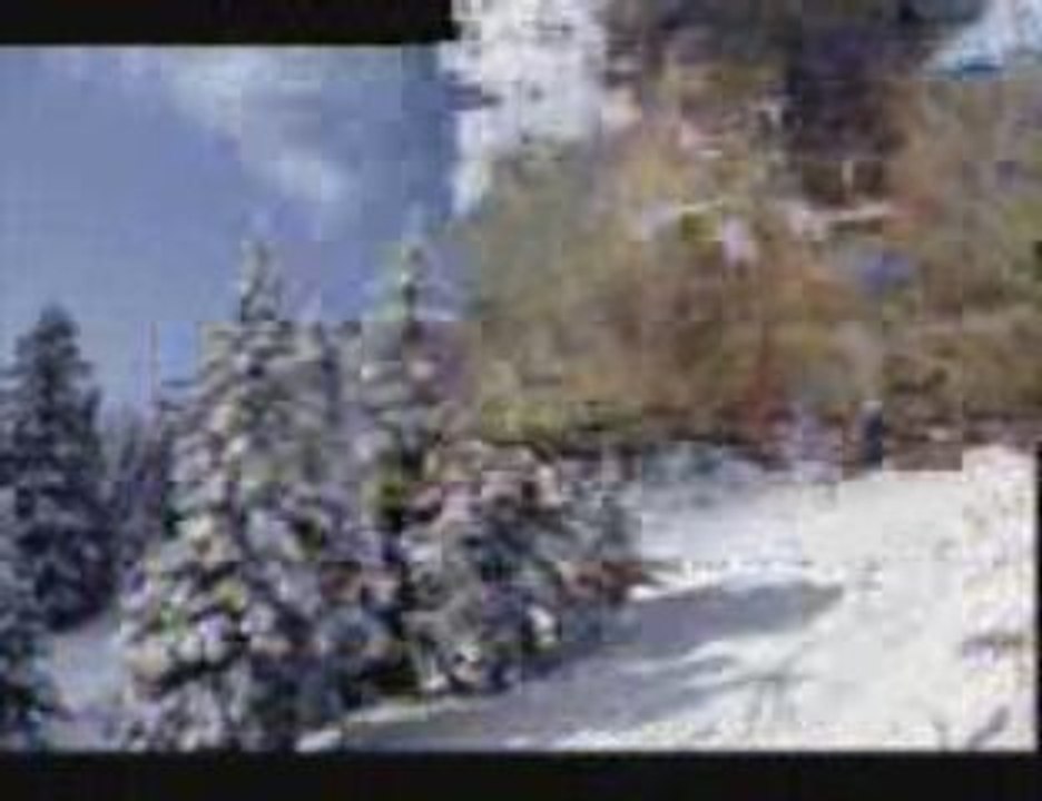 holiday in to turkey