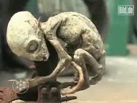 Baby alieno trovato in Messico