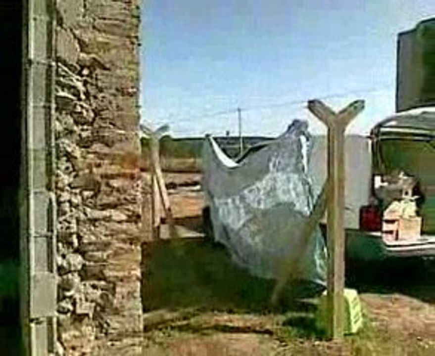 30 08 2009 emmenagement de COFFEE dans ca nouvelle maison