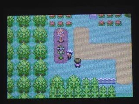 pokemon rubis 6:Premiers problèmes