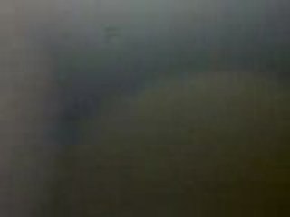 Crazy Summer tri9 de jbell