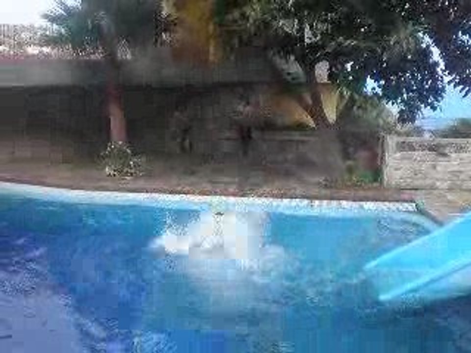 Crazy Summer Pisine bOMBA