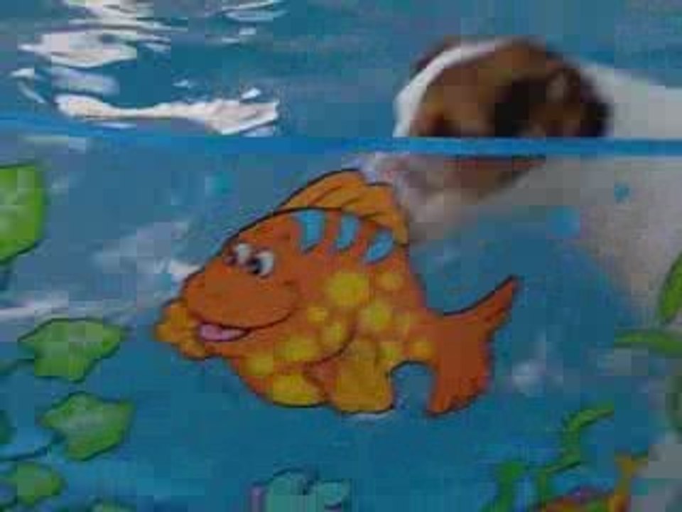 Destiny & the pool