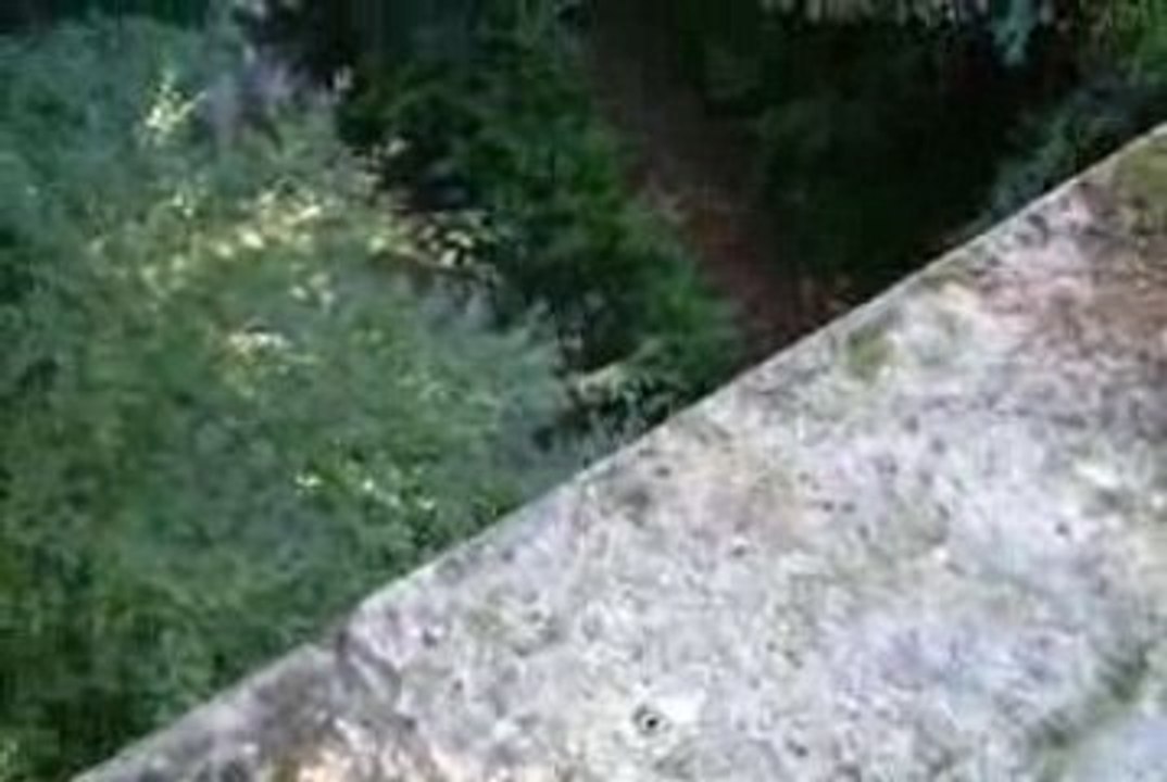 Saut de pont JJHB