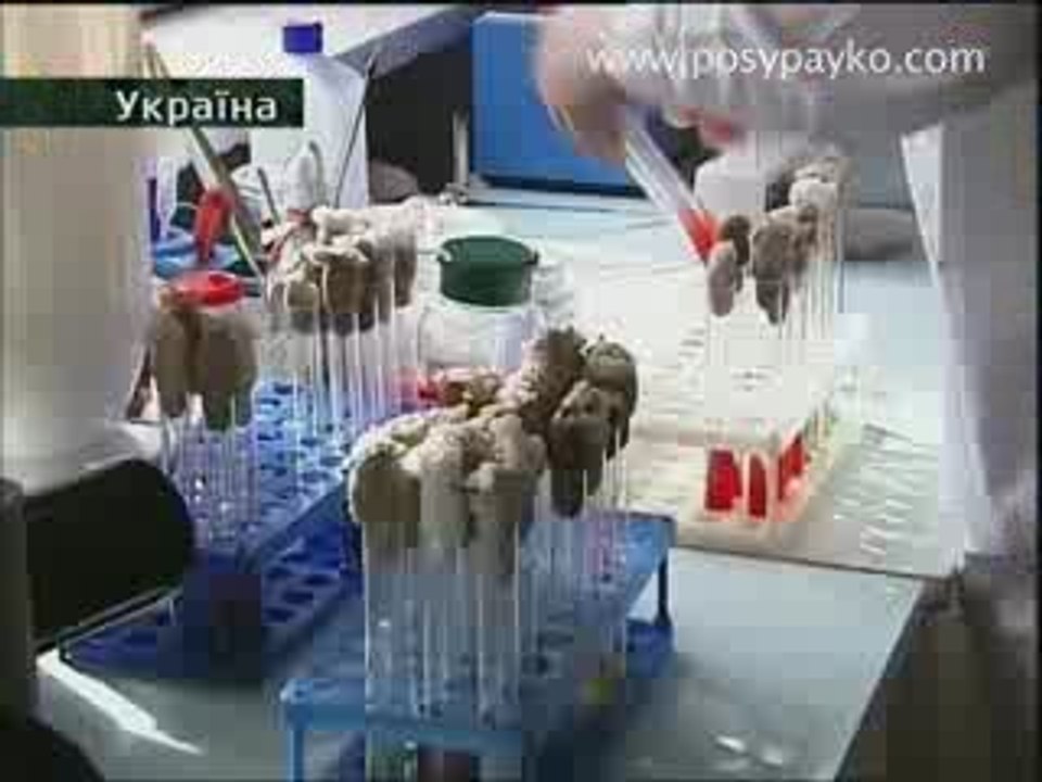 Brudna voda