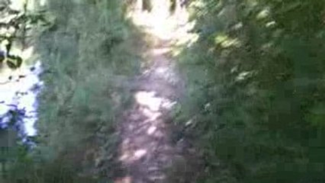 baignade à la pointe de l'aiguille