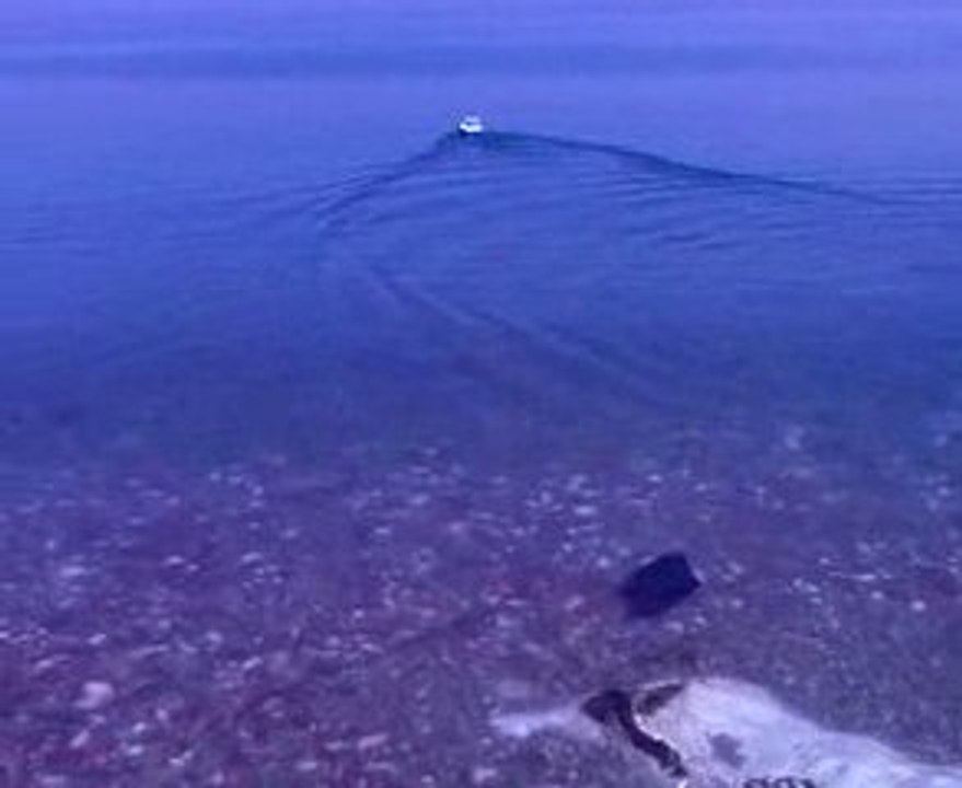 Video-0001