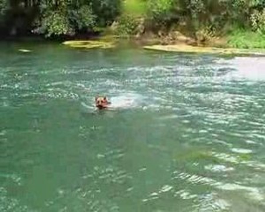 César se jette à l'eau 1