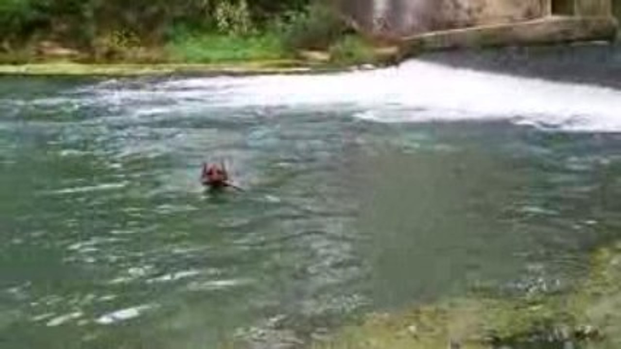 César se jette à l'eau 2