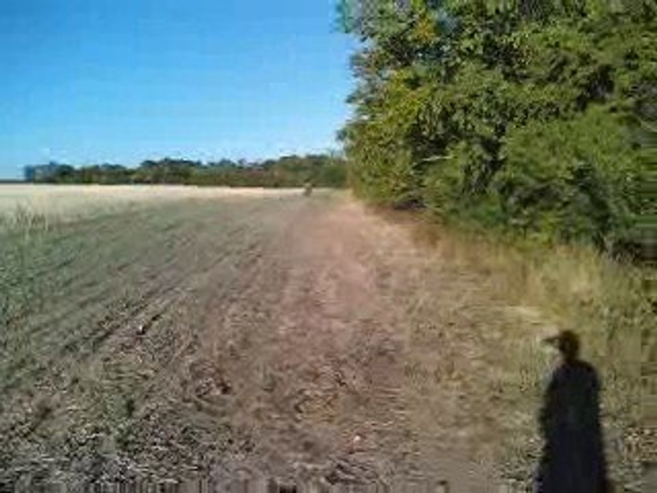 Moi en KX 60