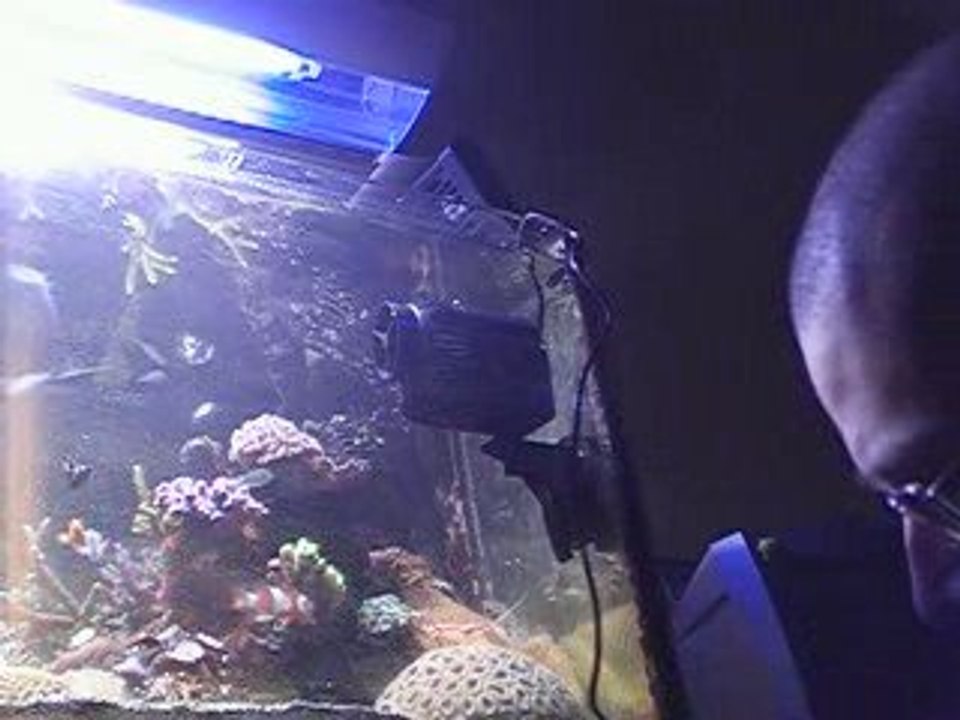 essai de la nouvelle pompe de brassage aquamedic