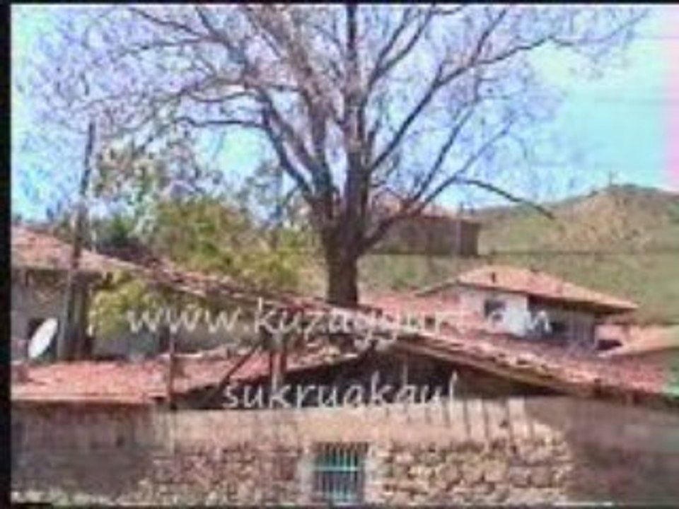 halil onbaşı iki büyük nitemi var