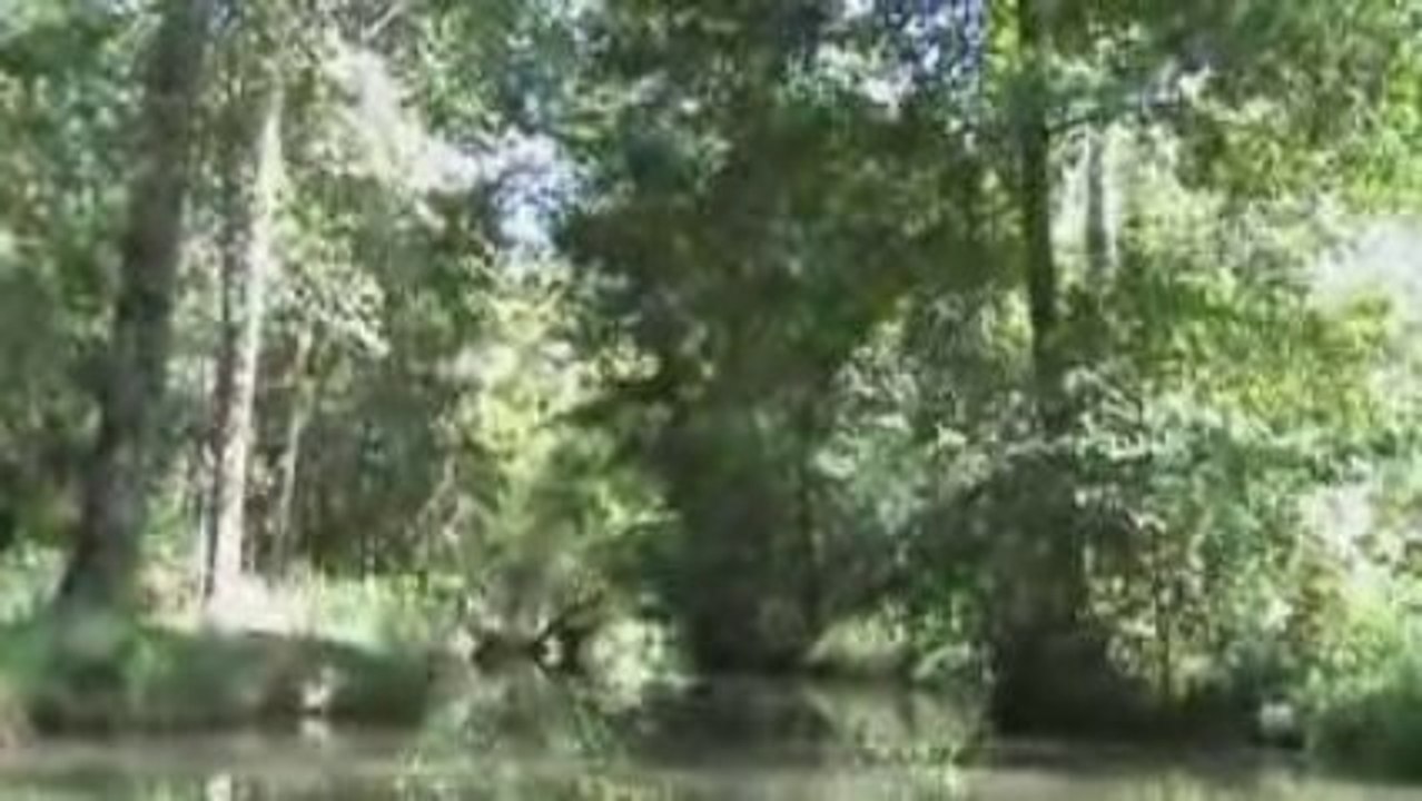 Le Bayou à nous