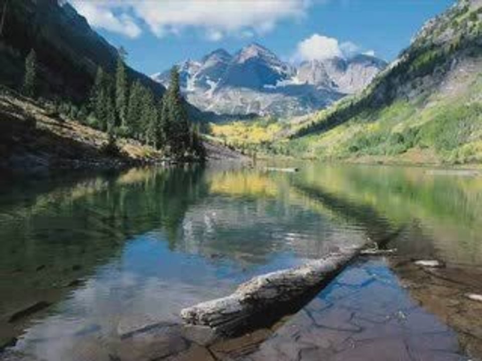 fatals picards - c'est la vie cuicui