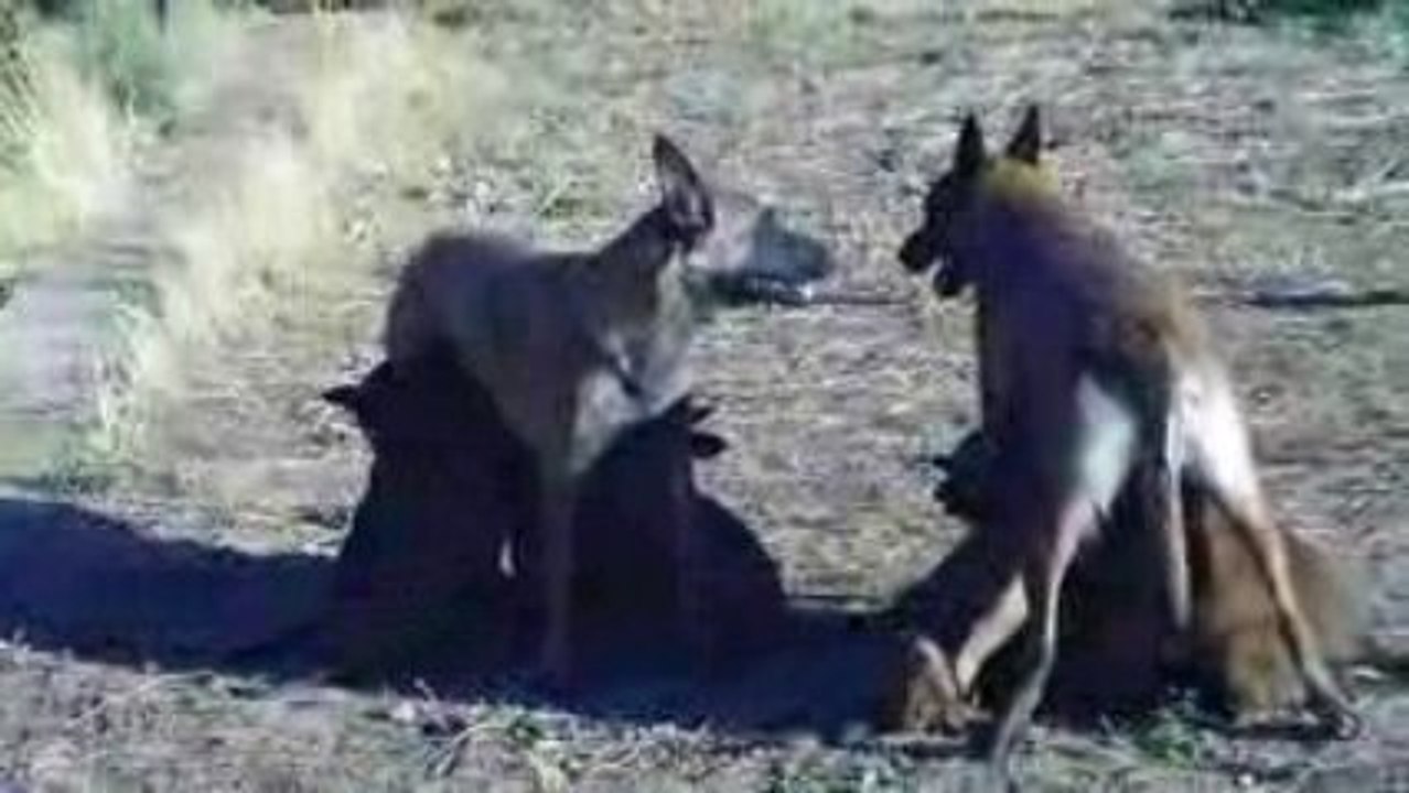 Une grande Famille reconstituer !!!