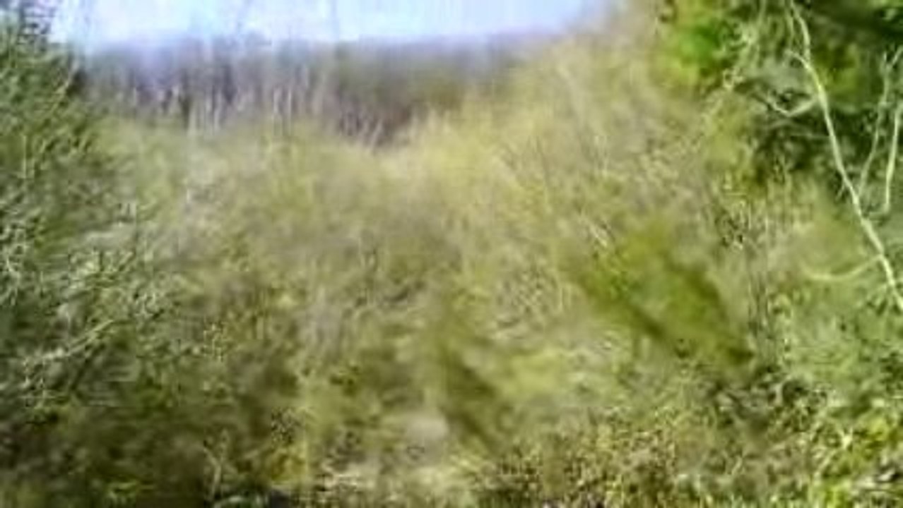 SHERCO 450i