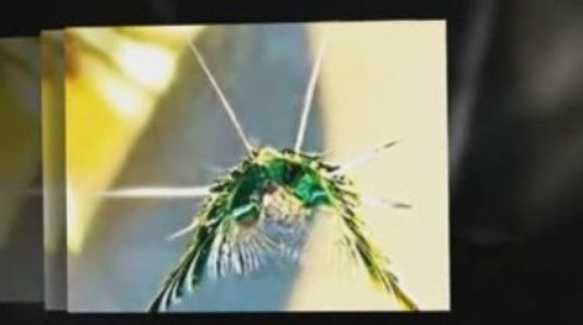 ALPHARETTA auto glass and windshield replacement shops