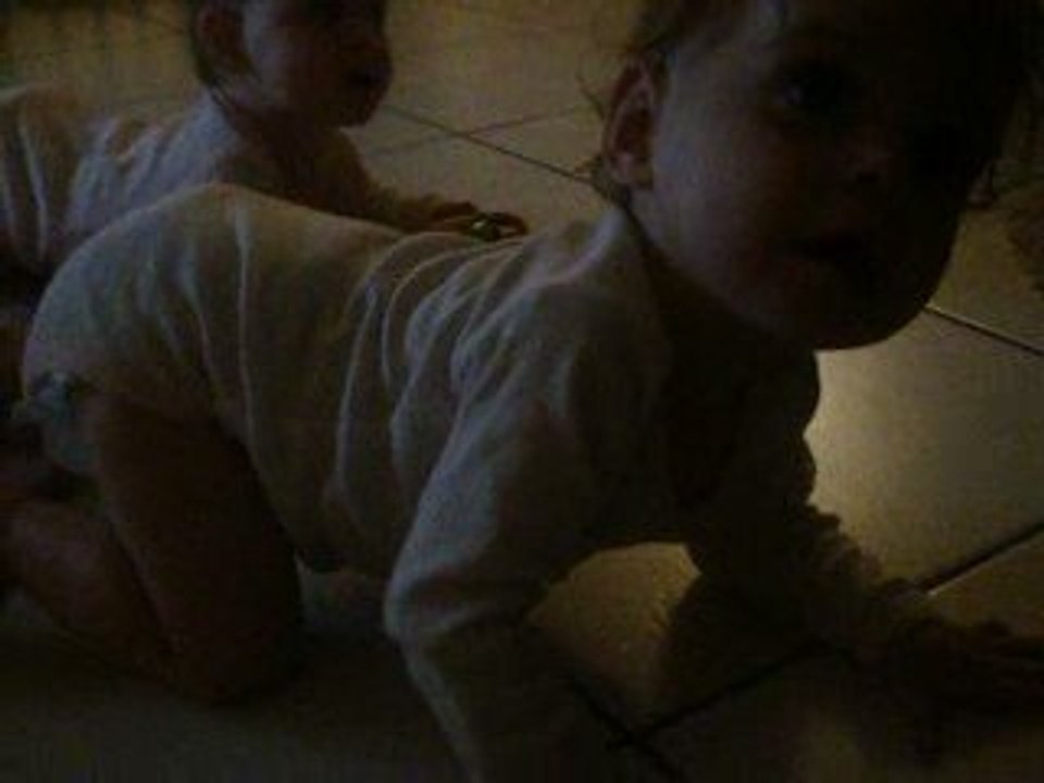 Alicia 4 pattes 2