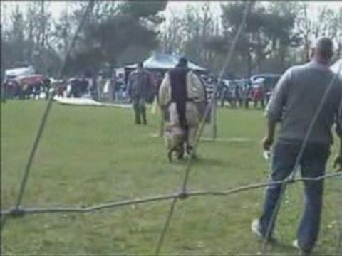 baron aux selectifs 2eme partie