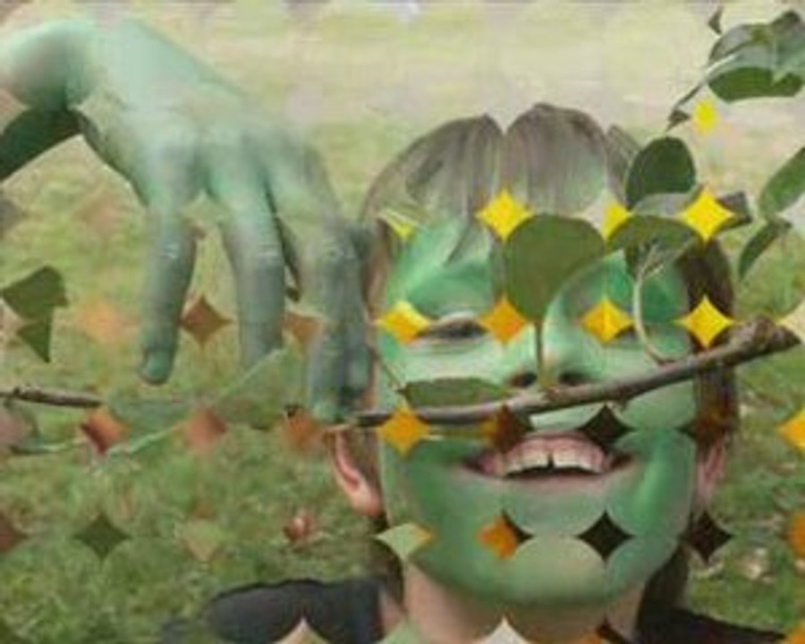 Les petits Caméléons présentent....