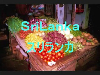スリランカかくれんぼ①(SriLanka)(Travel)(Music)