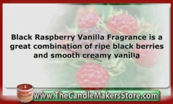 The Candle Makers Store: Black Raspberry Vanilla Fragrance
