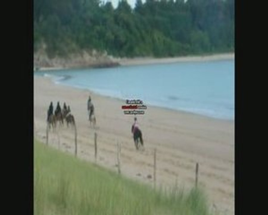 Bande Annonce
