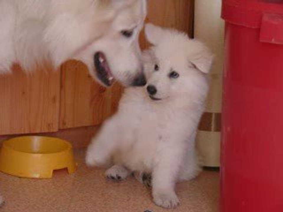 EL-DIABLO ET CHUCKY  1 SEPTEMBRE  2009