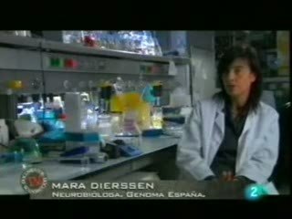 El miedo y sus patologias