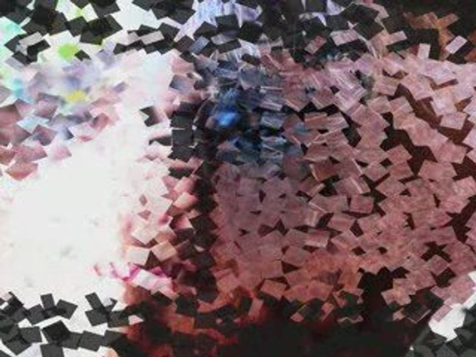 Concours avec ma champione