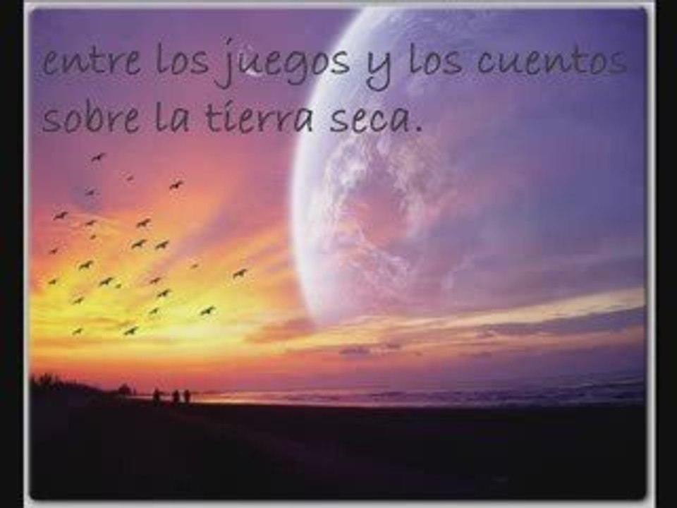 POEMA AMOR DE SALVADOR NOVO