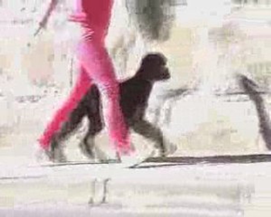 Adshanta fashionable 5 months