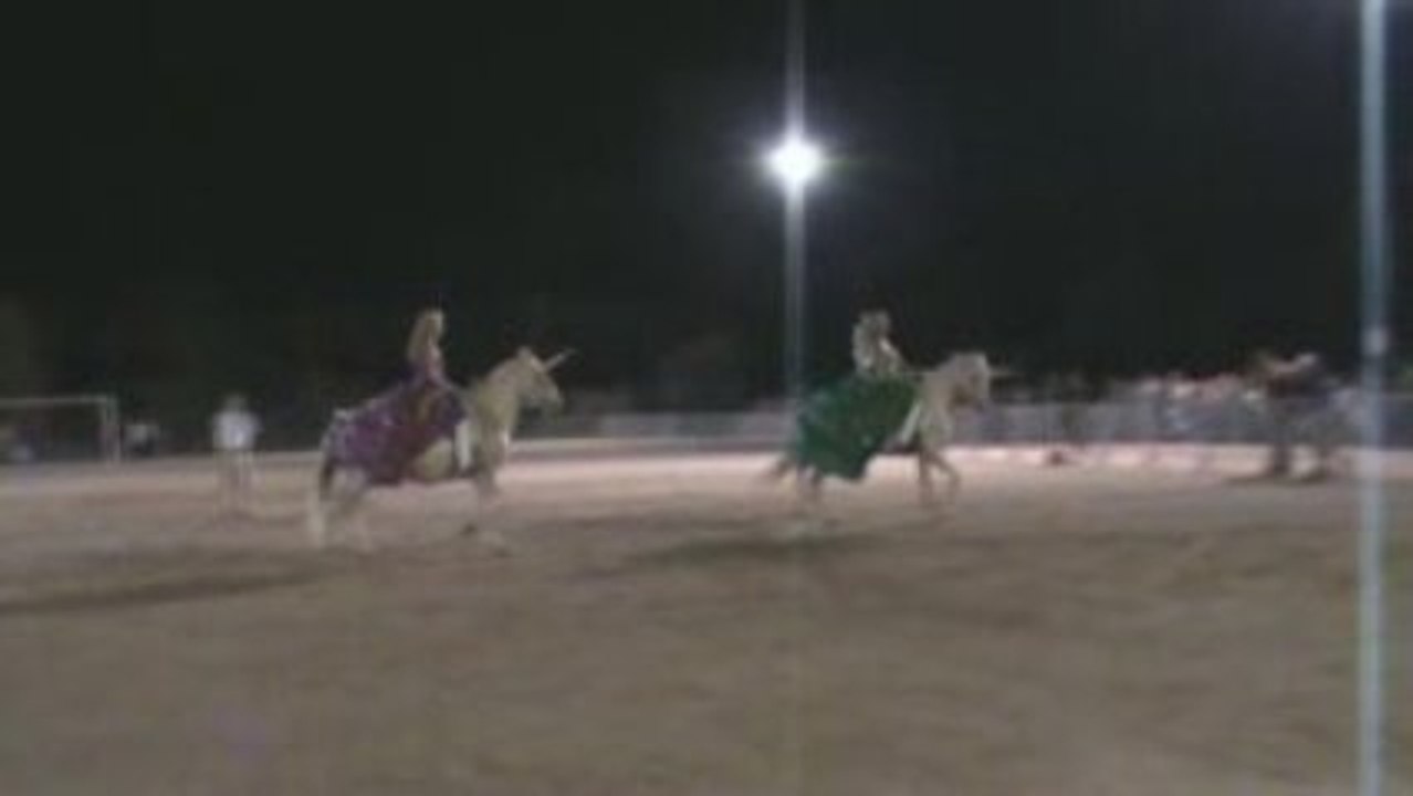 spectacle equestre lorgues aout 2009