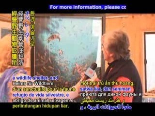 The Art of Saving Animals - The Pete Marshall Story