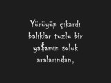 İçimden kopanlar sana sevgilim...(ftş)