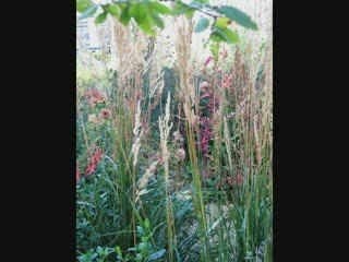 Interview de l'association Cultures aux jardins(3/3)