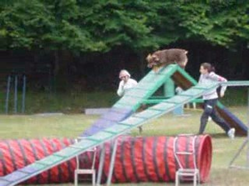 Concours Querqueville avec Brisca : GPF