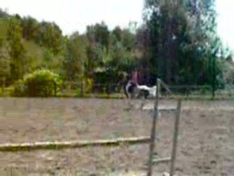 cours de cso avec Merlin