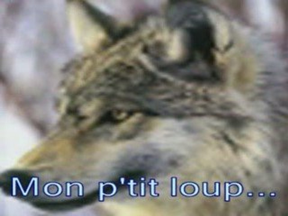 Mon p'tit loup...