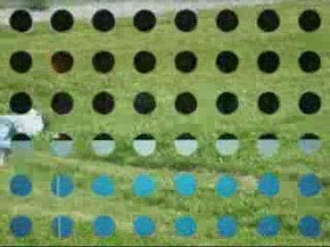 2oo8-2oo9 A Jamais dans mon Coeur ;$